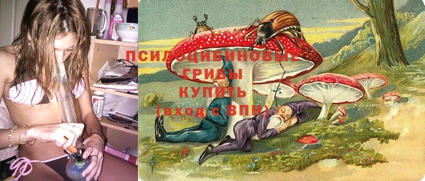 марихуана Абаза