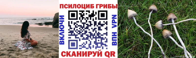 MEGA ССЫЛКА  Орск  Галлюциногенные грибы Magic Shrooms 